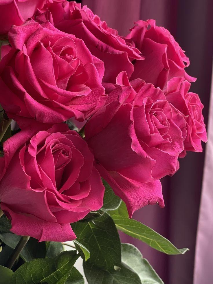 Corporate meeting room with carefully timed floral arrangements that maintain elegance throughout business hours